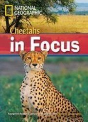 Cheetahs In Focus - Footprint Reading Library 2200 Paperback