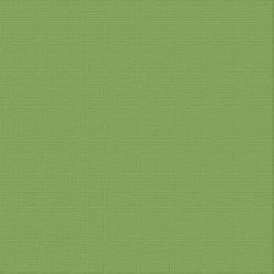 Text. Cardstock - Spinach jungle 12X12 216GSM 10 Sheets