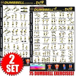 Eazy How To Dumbbell Exercise Workout Banner Poster Big 28 X 20" Train Endurance Tone Build Strength & Muscle Home Gym Chart - Complete Set