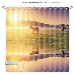 Minicoso Shower Curtains Apartment Decor Horse Valley In South With A Lake Reflection And Sun Rising Above Mountains Es Multicolor Polyester Fabric For Bathroom