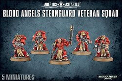 Warhammer 40K Blood Angels Sternguard Veteran Squad