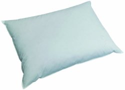 Billerbeck 5454938001down Pillow 065x100cm