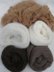 Just Natural No Dyes 5 Colors - 1 Oz Corriedale Wool Roving Sliver Each