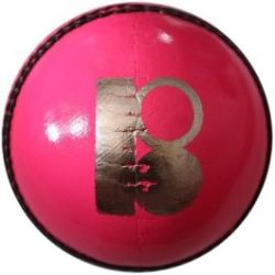 Blaster Silver Cricket Ball Pink 156G