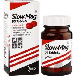 Slow-mag Magnesium Tablets capsules 60'S - Tablets