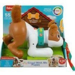 Crawl With Me Puppy Electronic Learning Toy With Music & Lights