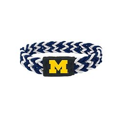2.5 Team Color aminco International NCAA Michigan Wolverines Logo Dangler Earrings 
