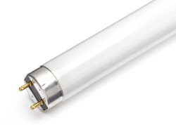26MM T8 Fluorescent Lamp 30W 3FT - Cool White