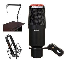 Heil Sound Pr 30B Dynamic Cardioid Studio Microphone Matte Black With Two-section Broadcast Arm And Microphone Suspension Shockmount