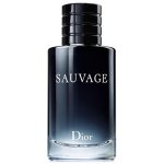 sauvage dior takealot