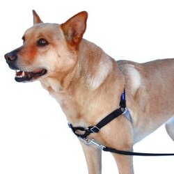 PetSafe Easy Walk Xlarge Black Dog Harness