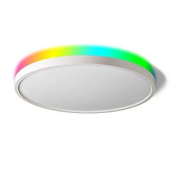 alexa led ceiling light