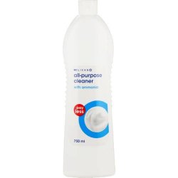 Payless All Purpose Cleaner 750ML