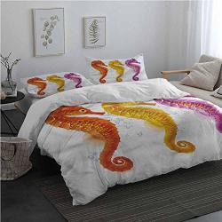 Andytours Nautical Pattern Duvet Cover Set With Zipper Closure Seahorse Marine Tones Bedding Set For Men Women Boys And Girls Queen