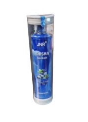 Jnr Shisha Blueberry Ice 8000 Puf 2% Nic 10PCS