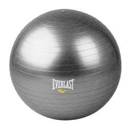 Everlast Anti-burst Gym Balls - 55CM