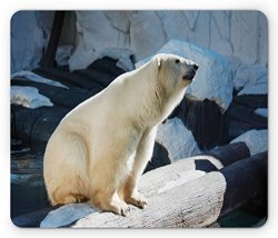 Ambesonne Zoo Mouse Pad Polar Bear Wildlife Park Rocks Water Cold Climate Tourist Attraction Image Standard Size Rectangle Non-slip Rubber Mousepad Pale Blue Black Cream