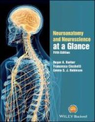 Neuroanatomy And Neuroscience At A Glance Paperback 5TH Edition