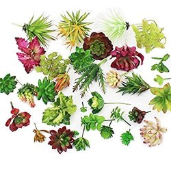 10 Pcs-plastic Different MINI Succulents Artificial Cactus Plant