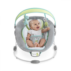 InGenuity Soothe & Delight Savvy Safari Bouncer