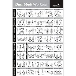 DUMBBELL Workout Exercise Poster - Now Laminated - Strength Training Chart - Build Muscle Tone & Tighten - Home Gym Weight Lifting Routine