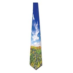 Flowers Wulion Meadow And Cloudy Sky Nature Landscape Print Vivid Sun Light Spring Art Men's Classic Silk Wide Tie Necktie 8 Cm