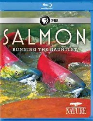 Salmon - Region A Import Blu-ray Disc