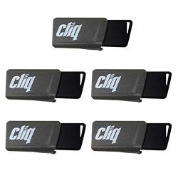 5 Pack Blue Patriot Memory 32GB Pulse Series USB 2.0 Flash Drive PSF32GXPPN5PK 5 Pack Blue Patriot Memory 32GB Pulse Series USB 2.0 Flash Drive PSF32GXPPN5PK