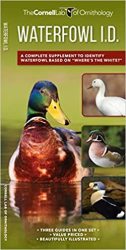 Waterfowl Id Set - Kevin J. Mcgowan Paperback