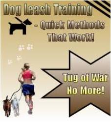 Dog Leash Training - Ebook