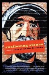 Swallowing Stones Paperback 1ST Harper Perennial Ed