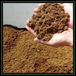 2 Litre Canadian Sphagnum Peat Moss - Seed Germination Grow Medium - Growing Aids