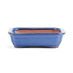 Assorted Glazed Bonsai Pots 7" - Blue Rectangle With Decorative Corners 18 X 13 X 5CM