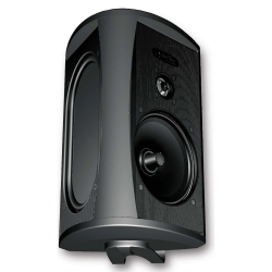 Definitive Technology AW5500 Outdoor Speaker in Black