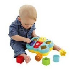 Fisher-Price Fisher Price Butterfly Shape Sorter