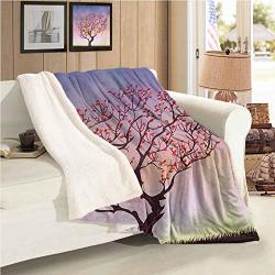 Nature Sofa Decorative Blanket Throw Size Sunset Rise Morning Scenery Of Fall Autumn Tree From The Valley Hills Image Throw Blanket Gifts For Kids
