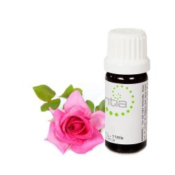 Escentia Natural Rose Blend Essential Oil - Standardised - 20ML