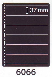 Prinz System 'hagner' Cardboard Pages 6-strip Pack Of 10 - 37mm H X 190mm W Ref 6066