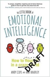 The Little Book Of Emotional Intelligence - How To Flourish In A Crazy World Paperback