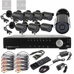 8-Channel D1 Real Time H.264 CCTV Kit with 8 x 800TVL Waterproof Night-Vision Cameras