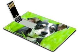 Luxlady 32GB USB Flash Drive 2.0 Memory Stick Credit Card Size Dog In The Grass Image 21166996