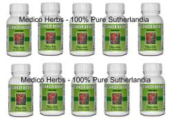 Cancer Bush Sutherlandia 60 X 350 Mg Capsule Bulk Buy 10 Bottles