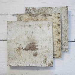 Natural Birch Bark Strips 12 X 12 Inch Square Wood Sheets Set Of 6