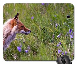 Gaming Mouse Pads Mouse Mat Fox Wildlife Animal Wild Nature Zoo Mammal Dog