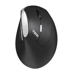 Rapoo EV250 Wireless Ergonomic Mouse