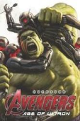 Avengers Age Of Ultron Notebook - Organize Notes Ideas Follow Up Project Management 6 X 9 15.24 X 22.86 Cm - 110 Pages - Durable Soft Cover - Line Paperback
