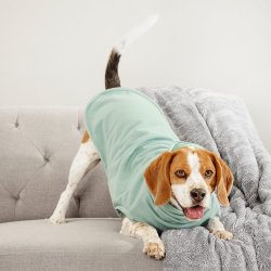Make Mine A Mojito Dog Jersey - Small Extra Length