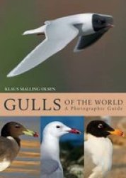 Gulls Of The World - A Photographic Guide Hardcover