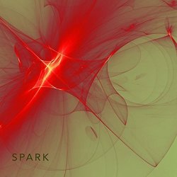 Andy Drudy Disorder - Spark Cd