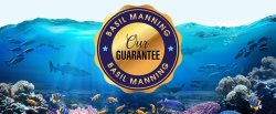 Bkk Jigging 8070 3X-HG - 11 0 - Basil Manning